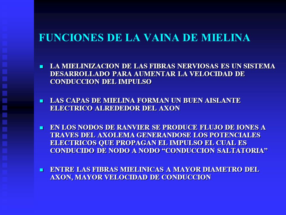 Definicion y funcion mielina